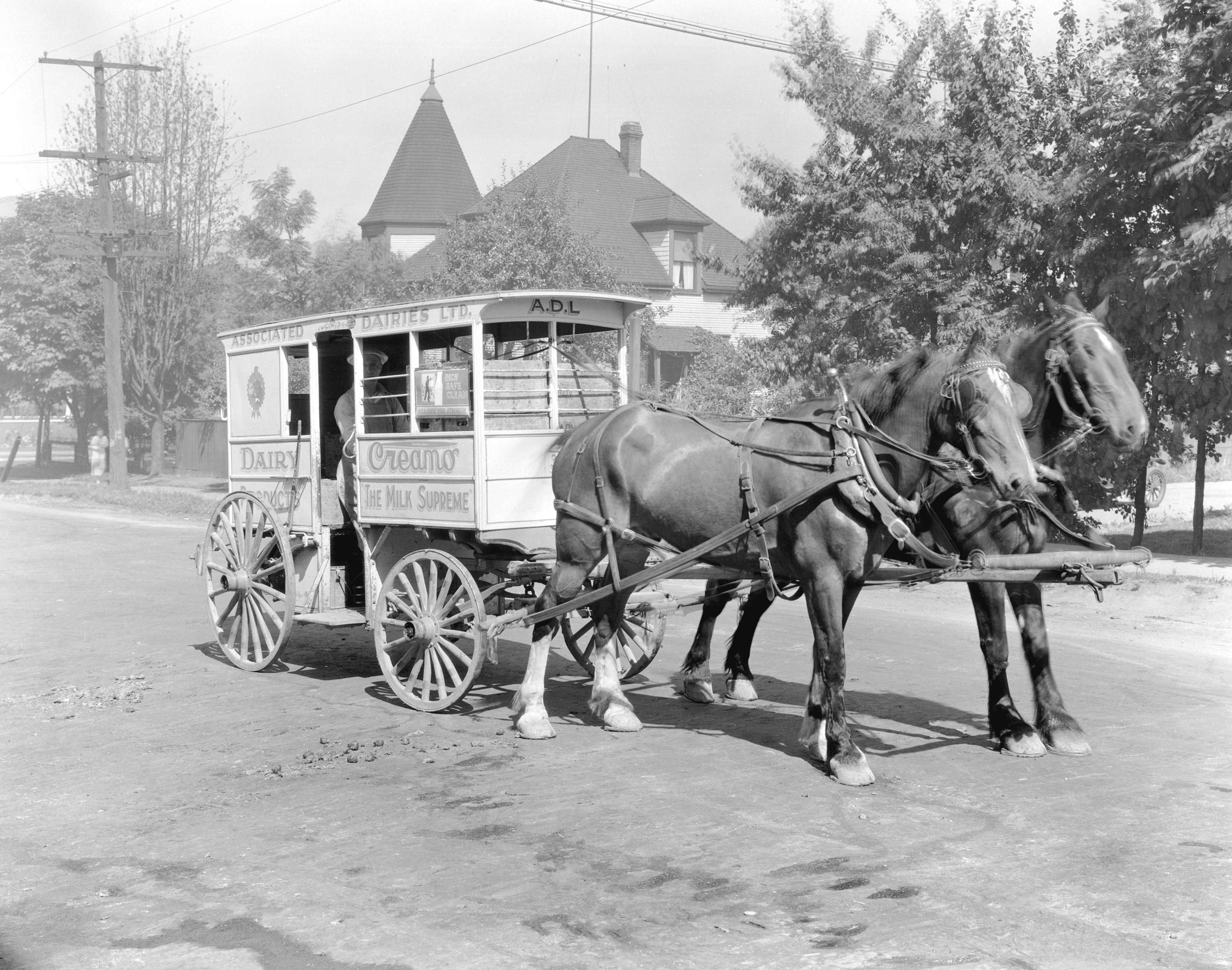 vancouver-dairy-wagon
